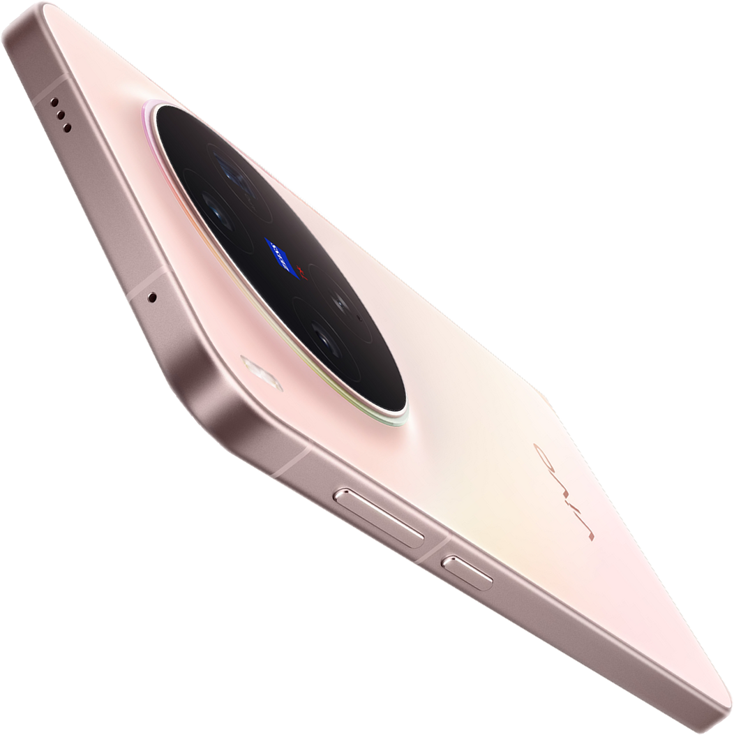 vivo X300